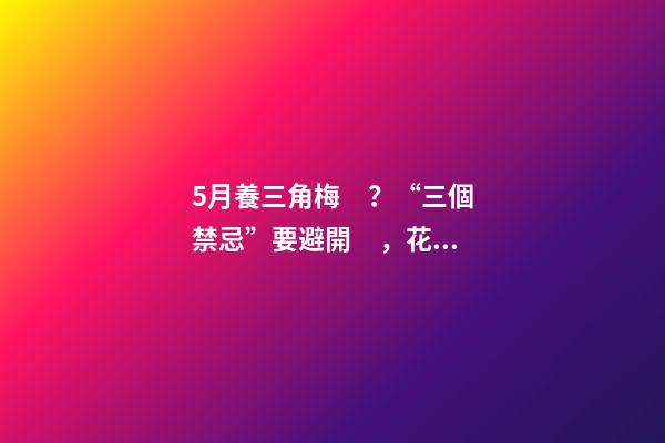 5月養三角梅？“三個禁忌”要避開，花開滿枝頭，獨苗變懸崖老樁